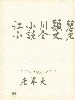 江小川颖儿穿越小说全文免费阅读