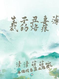 生子丑妻薄情总裁的烙痕