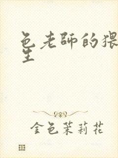 色老师的猥琐人生