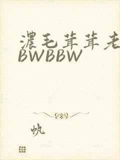 浓毛茸茸老太BBWBBW