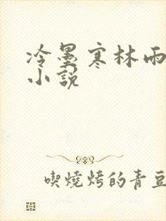 冷墨寒林雨彤的小说