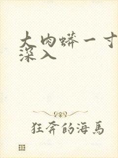 大肉蟒一寸寸地深入