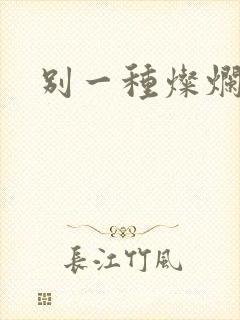 别一种灿烂生活