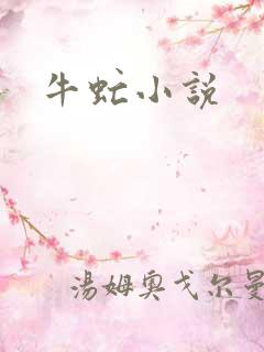 牛虻小说