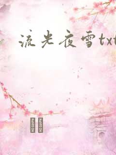 流光夜雪txt