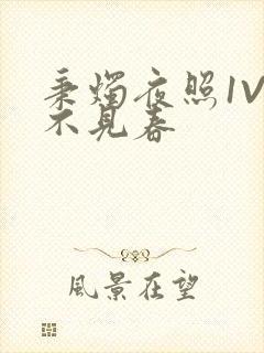 秉烛夜照1V2不见春