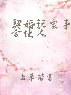 契婚玩家手册之合伙人