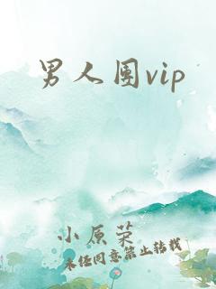 男人团vip