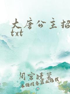 大唐公主招亲记txt