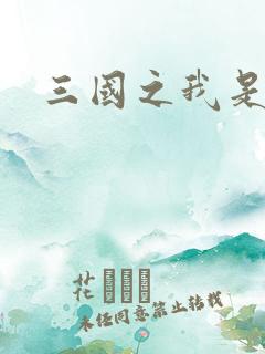 三国之我是华雄