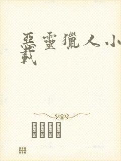 恶灵猎人小说下载