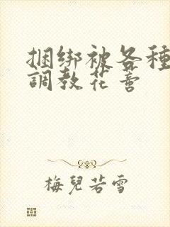 捆绑被各种工具调教花蒂