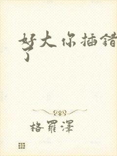 好大你插错地方了