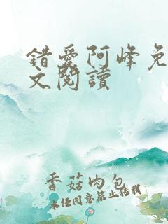 错爱阿峰免费全文阅读