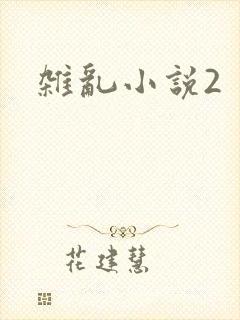 杂乱小说2