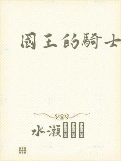 国王的骑士