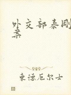 外交部泰刚间谍案