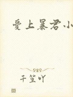 爱上暴君小甜心