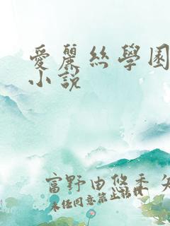 爱丽丝学园同人小说