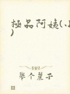 极品阿姨(小说)