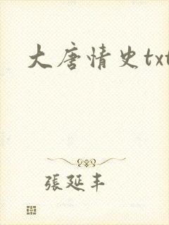 大唐情史txt