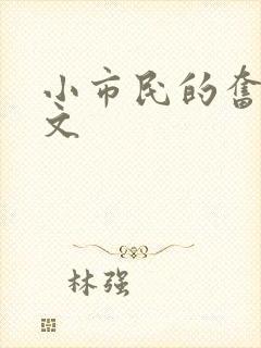小市民的奋斗燃文