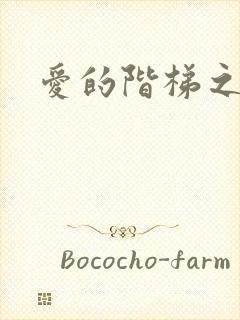 爱的阶梯之永远