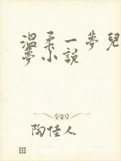 温柔一梦儿媳林梦小说