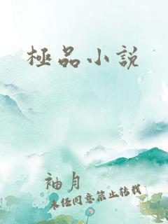 极品小说