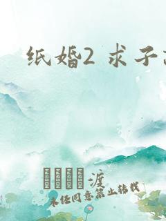 纸婚2 求子记