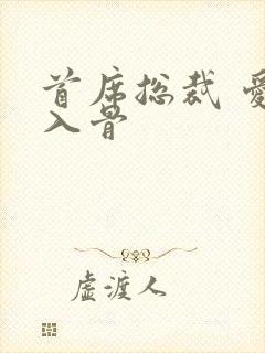 首席总裁 爱你入骨