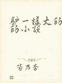 驴一样大的凶器的小说