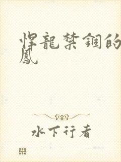 悍龙禁锢的小野凤