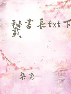 秘书长txt下载