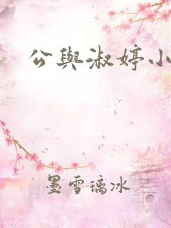 公与淑婷小说