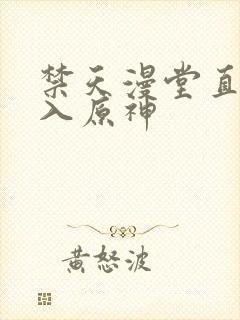 禁天漫堂直接进入原神