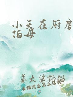 小天在厨房插杨伯母