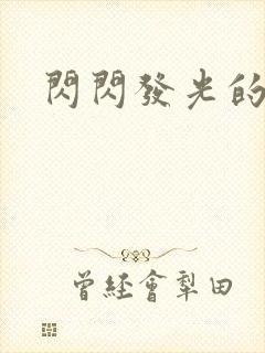 闪闪发光的大人