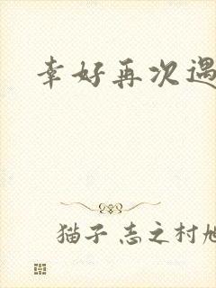 幸好再次遇见你