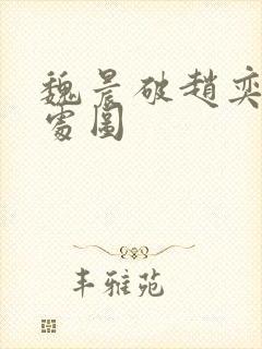 魏晨破赵奕欢的处图