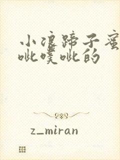 小浪蹄子蜜水噗呲噗呲的