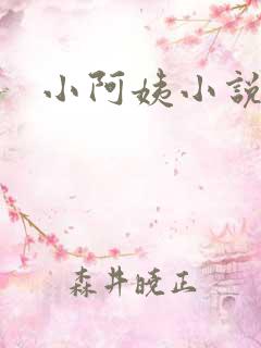 小阿姨小说
