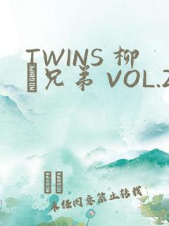 TWINS 柳澤兄弟 VOL.2