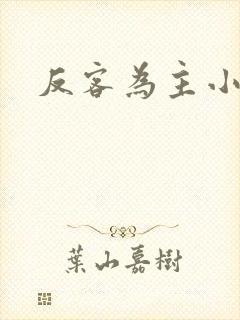 反客为主小说