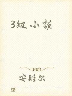 3级小说