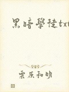 黑暗学徒txt