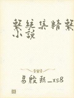 系统集精系统 小说