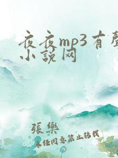 夜夜mp3有声小说网