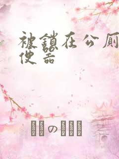 被锁在公厕当坐便器