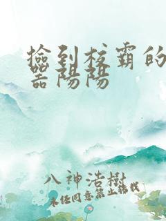 捡到校霸的遥控器阳阳